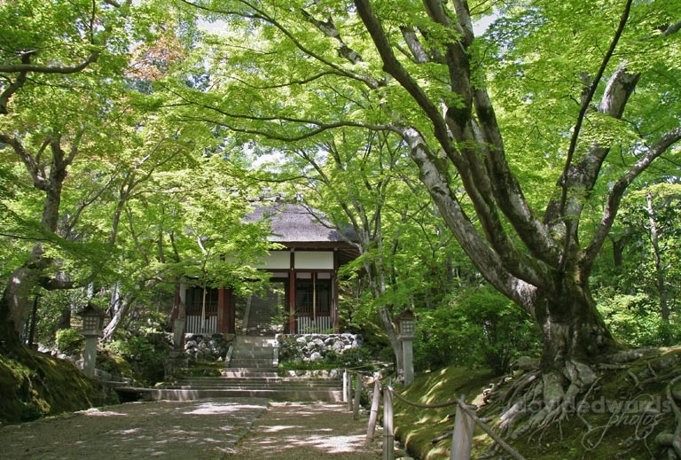 2007 Kyoto 372