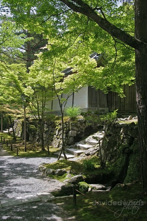 2007 Kyoto 389